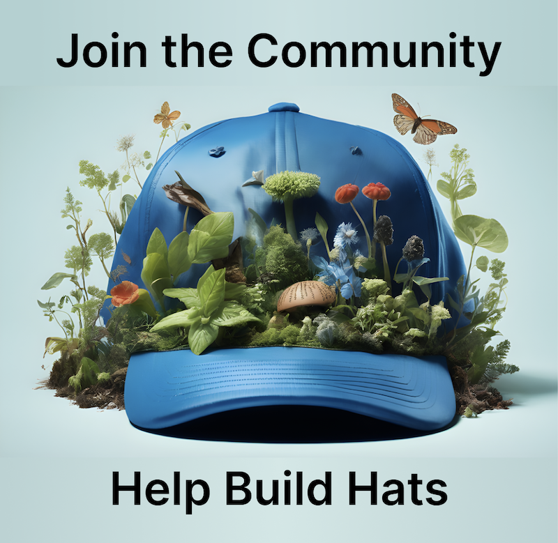 Claim your Hats Community hat here: https://hatsprotocol.deform.cc/community
